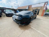 Used 2019 Ford Mustang GT image 6