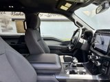 Used 2023 Ford F150 XLT w/ Equipment Group 302A High image 6