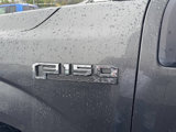 Used 2019 Ford F150 XLT w/ Equipment Group 302A Luxury image 6
