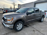 Used 2022 Ford F150 XLT image 4