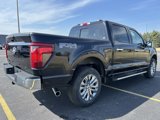 New 2025 Ford F150 XLT w/ Equipment Group 303A High image 6