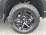 New 2025 Chevrolet Silverado 1500 Custom Trail Boss w/ Turbomax Blackout Package image 6