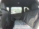 New 2025 Subaru Forester Wilderness image 5