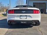Used 2023 Ford Mustang Premium image 5