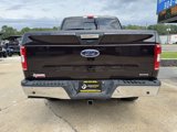 Used 2018 Ford F150 XLT w/ Equipment Group 302A Luxury image 6