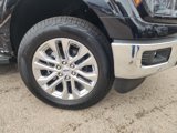 New 2025 Ford F150 XLT image 3