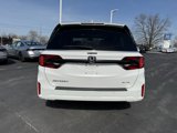 New 2025 Honda Odyssey Elite image 5