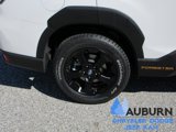 Used 2024 Subaru Forester Wilderness image 4