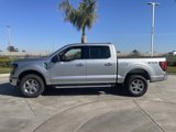 New 2025 Ford F150 XLT w/ Equipment Group 301A Standard image 2