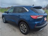 Used 2022 Ford Escape SEL image 5