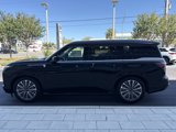 New 2025 INFINITI QX80 Luxe w/ Cargo Package image 5