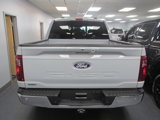 New 2025 Ford F150 XLT w/ Equipment Group 302A MID image 4