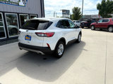 Used 2021 Ford Escape SE image 6