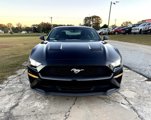 Used 2019 Ford Mustang Coupe w/ Equipment Group 101A image 2