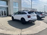 Used 2025 Kia Sorento SX image 3