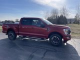 Certified 2023 Ford F150 XLT w/ Equipment Group 302A High image 4