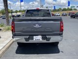 New 2025 Ford F150 XLT w/ Equipment Group 302A MID image 4