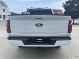 New 2025 Ford F150 XLT image 5
