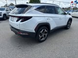Used 2022 Hyundai Tucson SEL w/ Convenience + Premium Package image 5