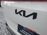 New 2026 Kia Carnival SX image 5