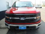 New 2024 Ford F150 XLT w/ Equipment Group 302A MID image 3