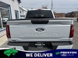 New 2025 Ford F150 STX w/ Equipment Group 200A image 5