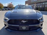 Used 2020 Ford Mustang Premium image 2