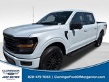 New 2025 Ford F150 XLT w/ Equipment Group 302A MID image 4
