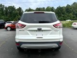 Used 2013 Ford Escape Titanium w/ Parking Technology Pkg image 6