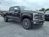 New 2025 Ford F250 Platinum image 3