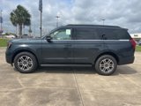 New 2025 Ford Expedition Active image 4