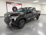 New 2025 Toyota Tundra Platinum image 2