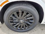 New 2025 Hyundai Palisade Calligraphy image 5