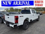 New 2025 Ford F250 XL image 6