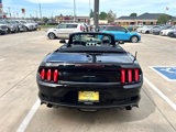 Used 2017 Ford Mustang GT Premium w/ Black Accent Package image 5