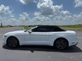 Used 2021 Ford Mustang Premium image 6