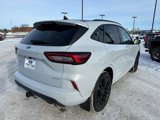 New 2025 Ford Escape ST-Line Elite w/ Premium Technology Package image 5