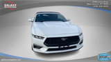 Used 2024 Ford Mustang Premium image 4