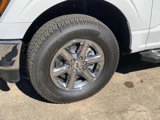New 2025 Ford F150 XLT w/ Equipment Group 302A MID image 6