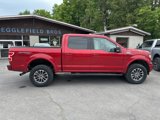 Certified 2020 Ford F150 XLT w/ Equipment Group 302A Luxury image 4