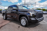 Used 2025 Toyota Tundra SR5 image 3