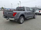 New 2025 Ford F150 XLT w/ Equipment Group 303A High image 6