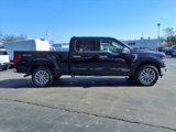 New 2025 Ford F150 XLT w/ Equipment Group 303A High image 2