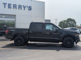New 2025 Ford F150 XLT image 2