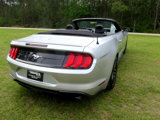 Used 2019 Ford Mustang Premium image 6