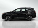 New 2025 Subaru Forester Limited w/ Popular Package image 3