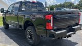 New 2025 Ford F250 Platinum image 6