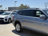 Used 2021 Volkswagen Atlas S image 6