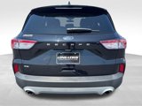 Used 2022 Ford Escape SE w/ Convenience Package image 4