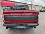 Used 2023 Ford F150 Raptor image 5